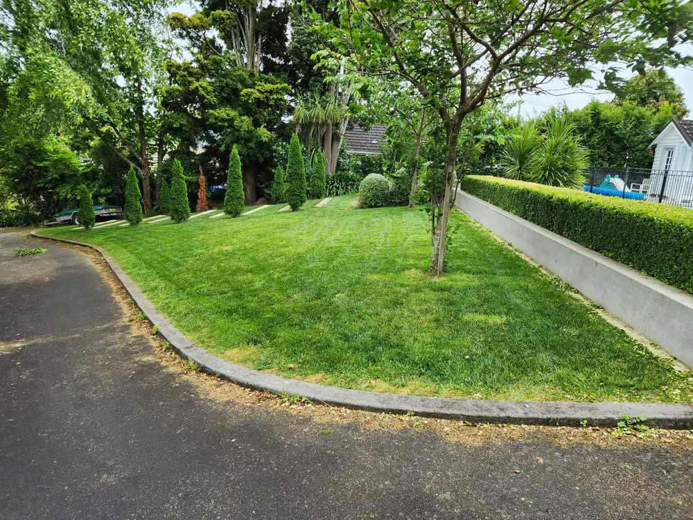 A curved lawn edge along a driveway with a low hedge