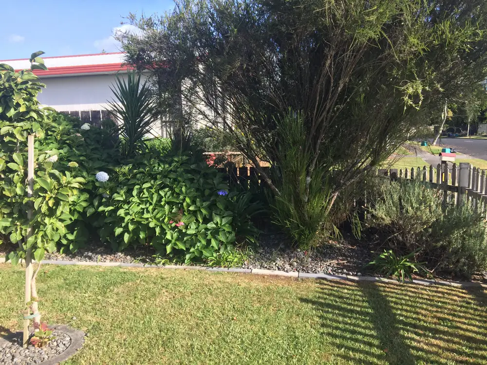 A tidy shrub bed along a picket fence beside a mowed front lawn