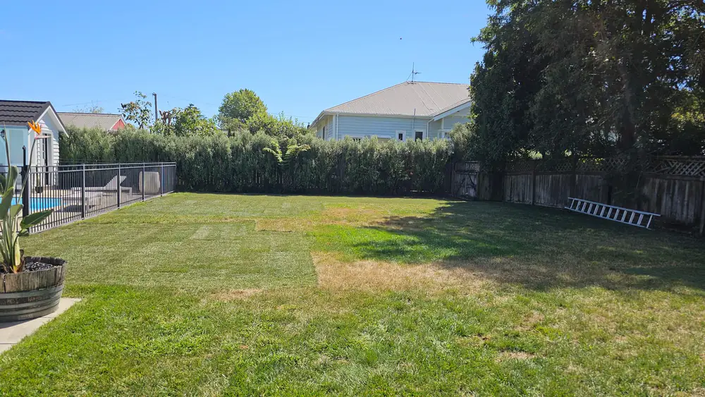 A wide, freshly mowed backyard lawn with a tall boundary hedge