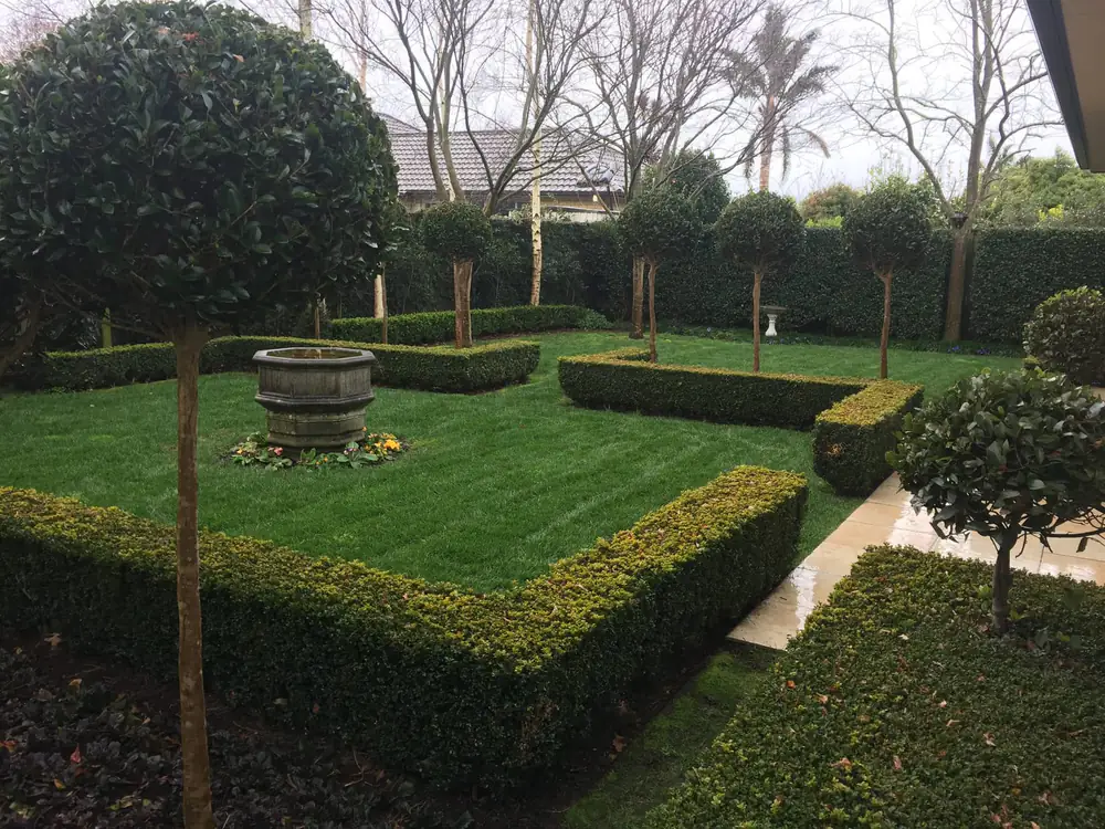 A formal garden of clipped box hedges and standard trees around a lawn